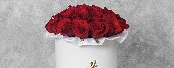 В гостях у Елены