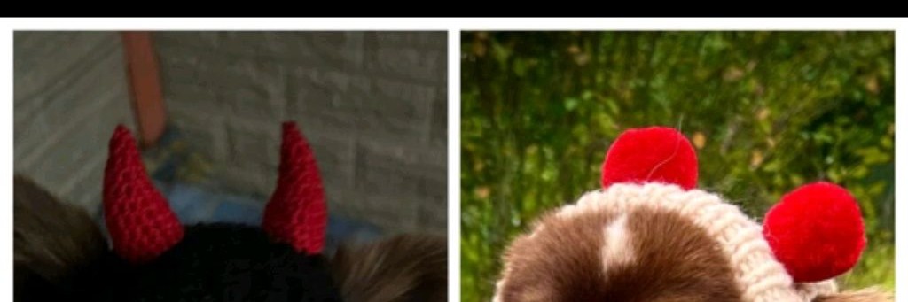 Джексон Шоколадкин