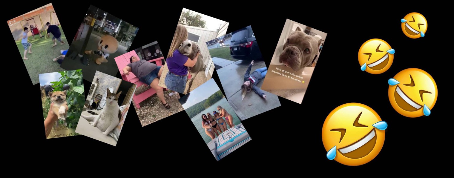 Ридимотус! 😂😂😂