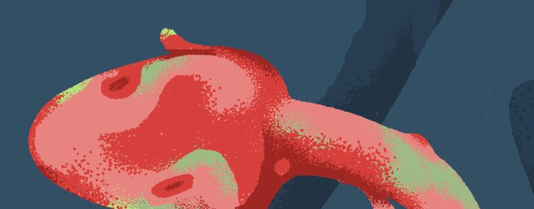 На вершинах пурпурных грибов