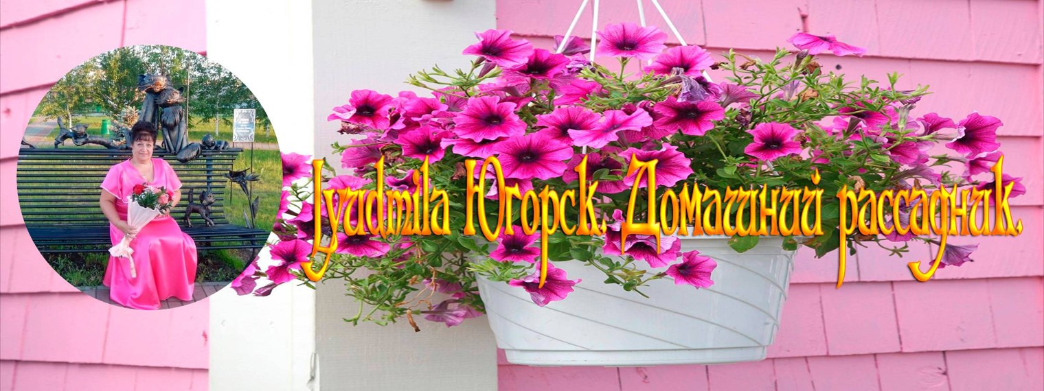 ღ  Кулинарим с Людмилой.  и Домашний рассадник. ღ