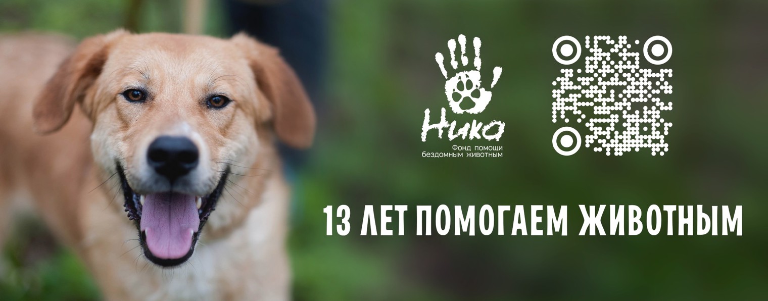 Благотворительный фонд  "НИКА"