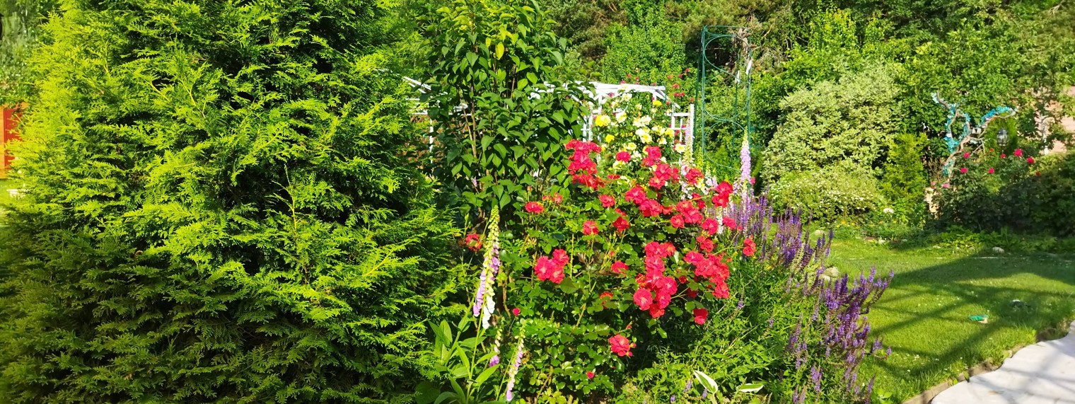 Прекрасный сад Маришки