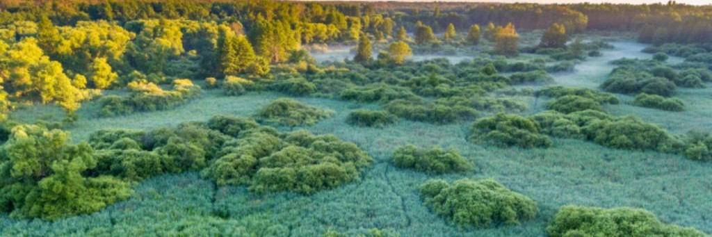 Дядя Федор.Дела хозяйские.