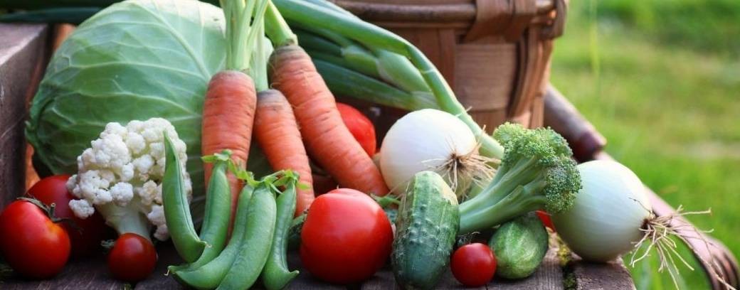 Волшебная грядка Марины Шевляковой