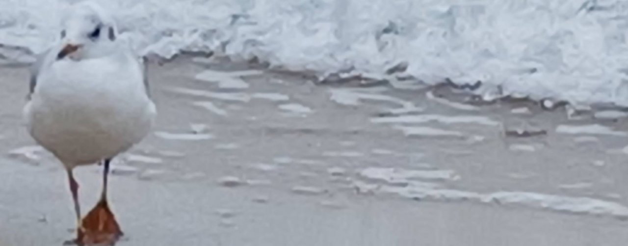 Путешествуем с Пора удивляться