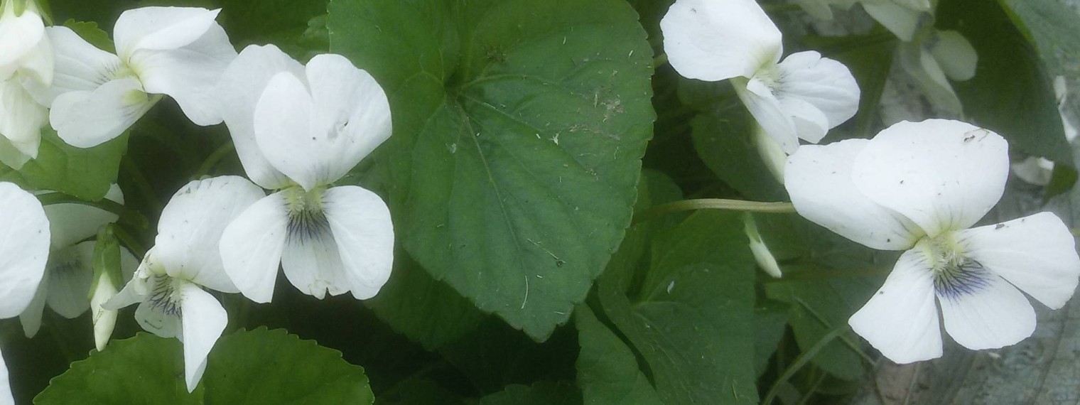 Мои руки не для скуки с Еленой