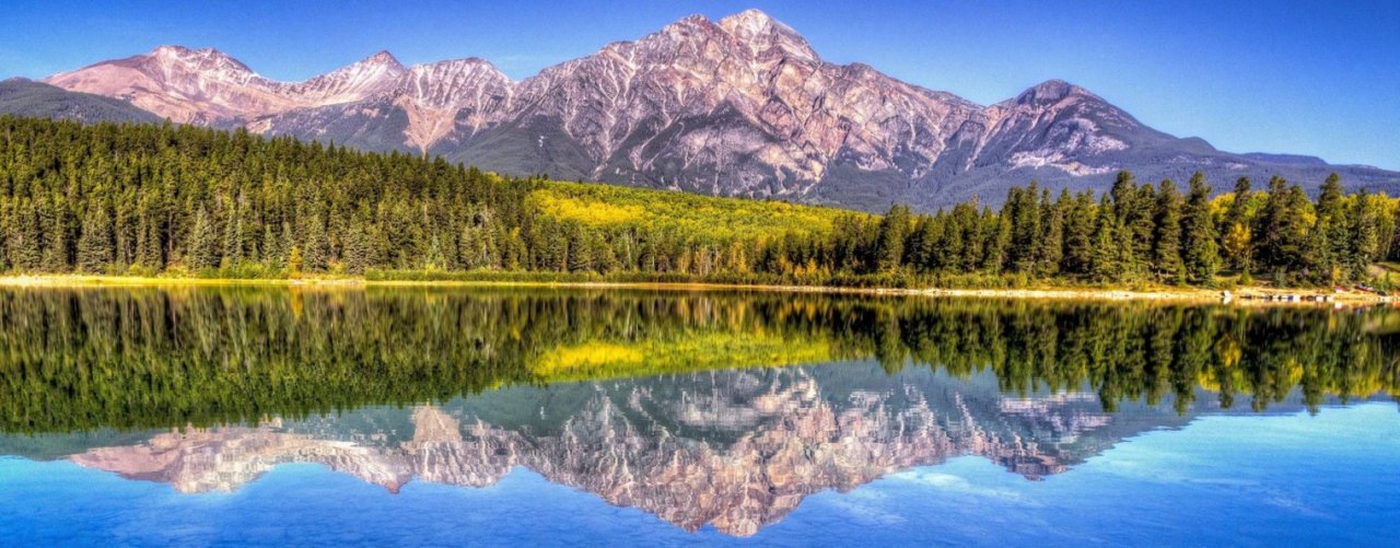 Это надо видеть