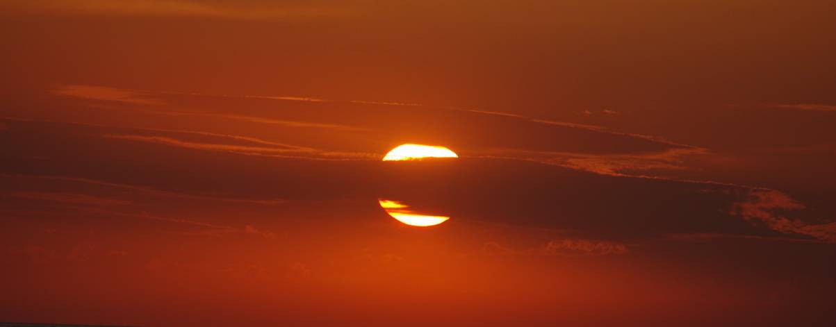 Александр Естегнеев