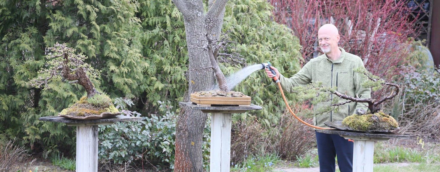 Мастерская бонсай и ниваки Андрея Дарусенкова