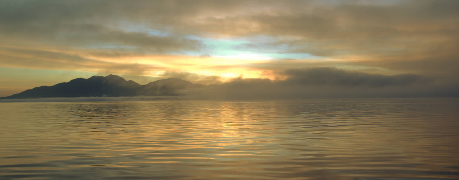 Включи Рыбалку