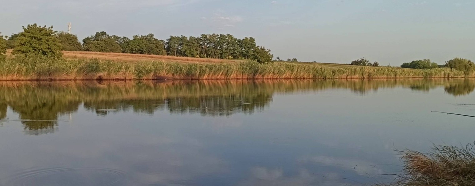 💖 ОЛЕСИНЫ БУДНИ 💖