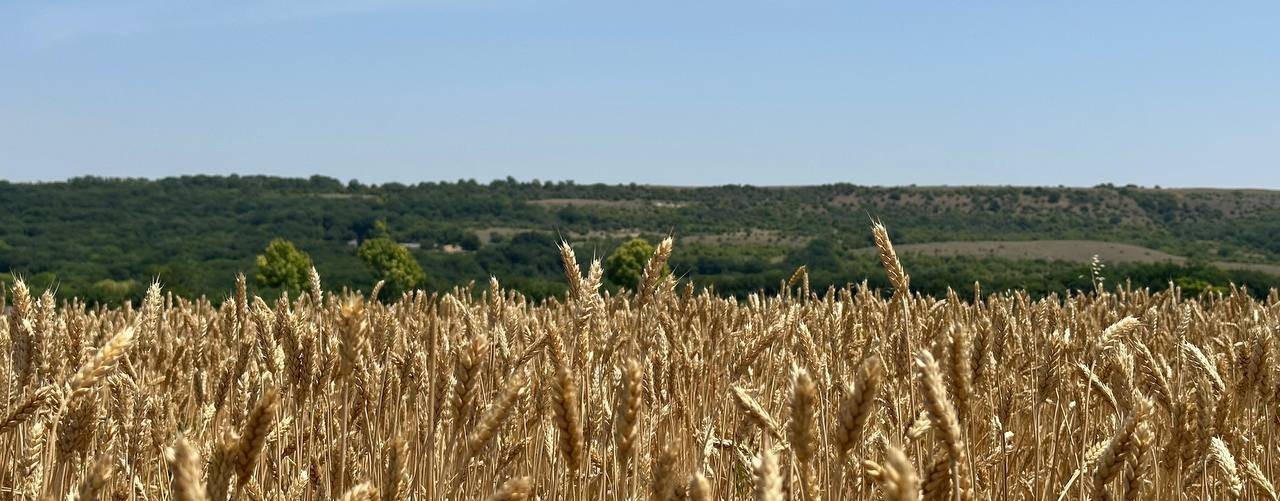 Маша на юге