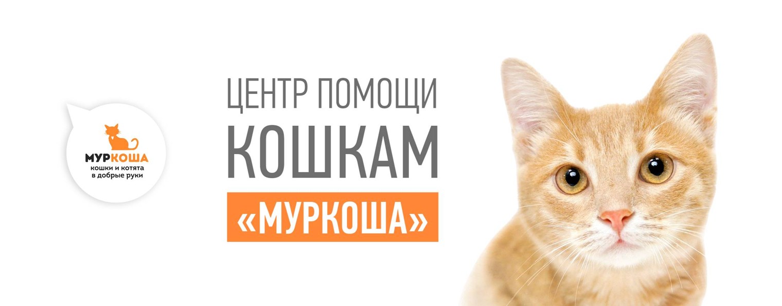 Центр помощи кошкам  "Муркоша"