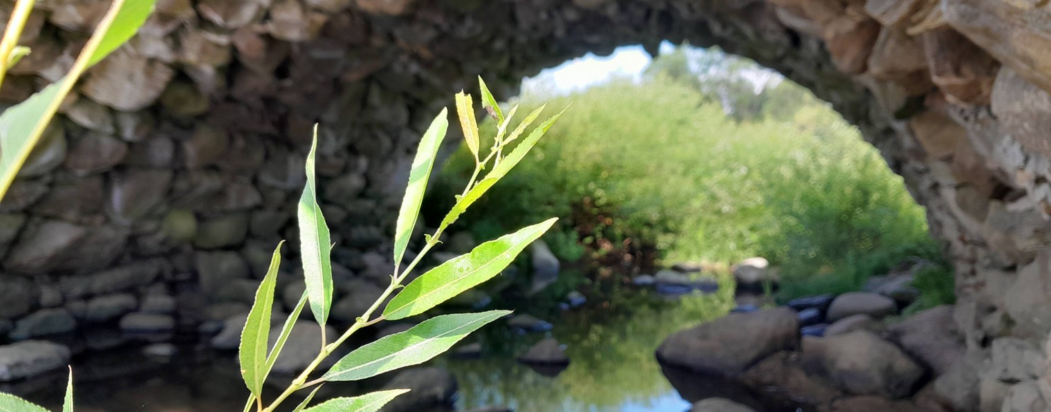 Зоя и Пушкин