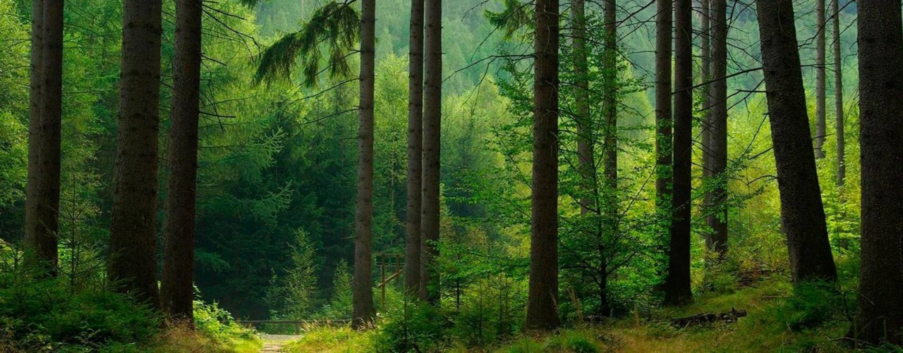 Караоке топ 100