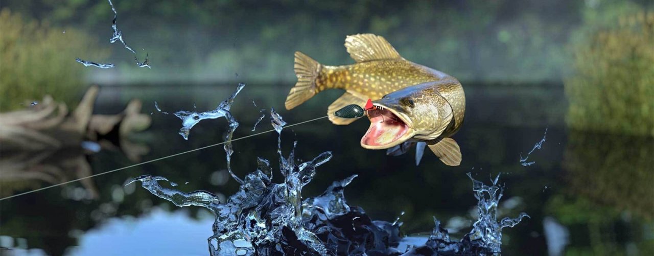 FISHING PRO BAITS Рыбалка с Петром