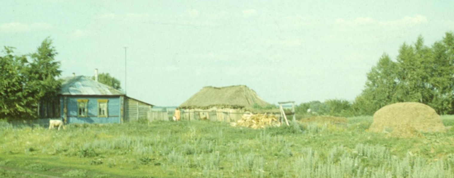 Цыпулин Борис