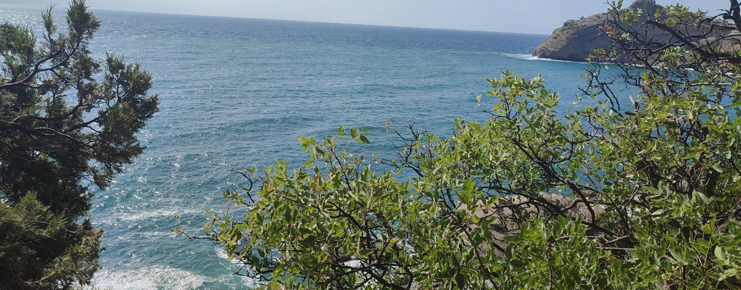 Наталья Колясникова