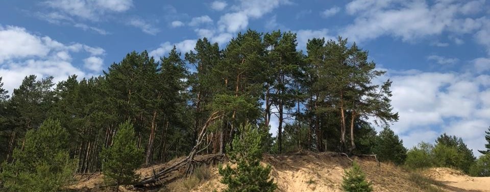 Вольный Стрелок