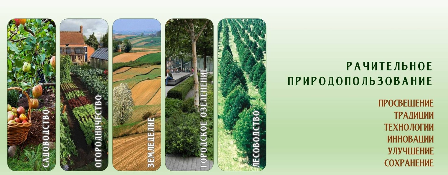 Рачительное природопользование. Клуб Дивные угодья