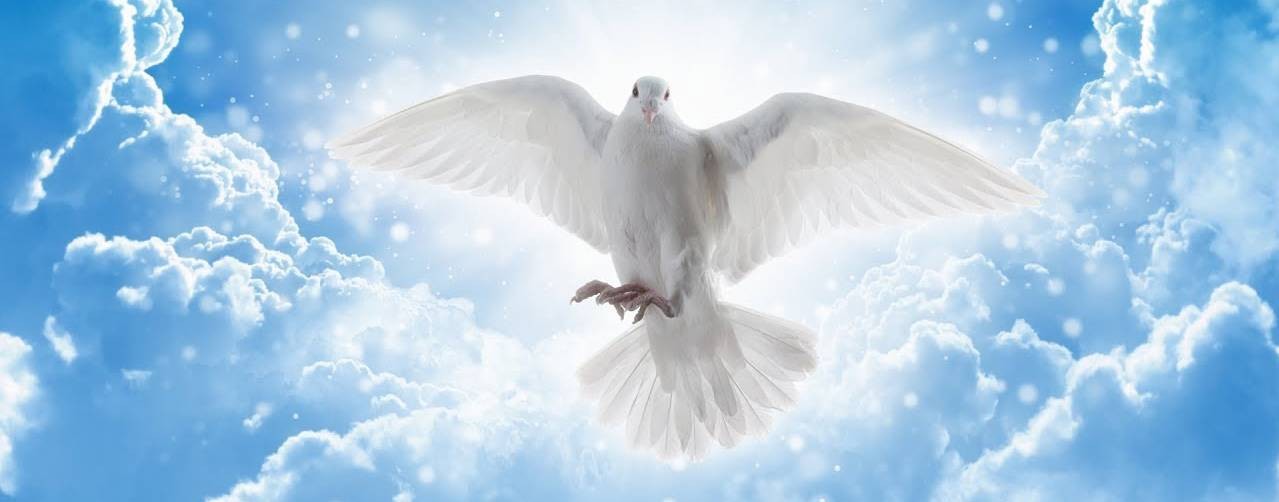 Небесный Свет