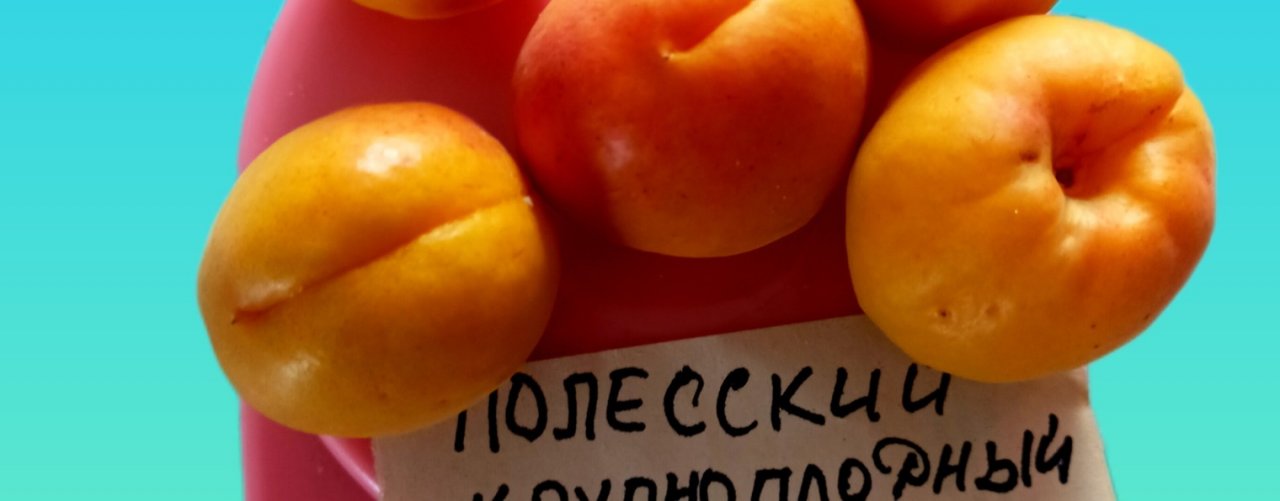 channel51043284Владимир Тоторов.