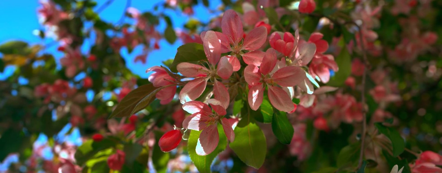 Доступ к НАЗИДАНИЮ