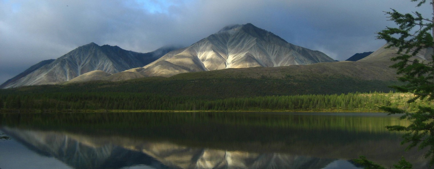 Марина Галкина