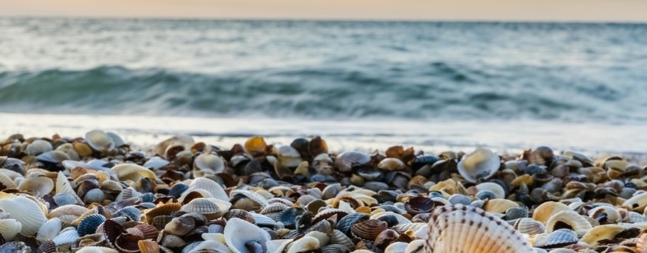 Городок у моря