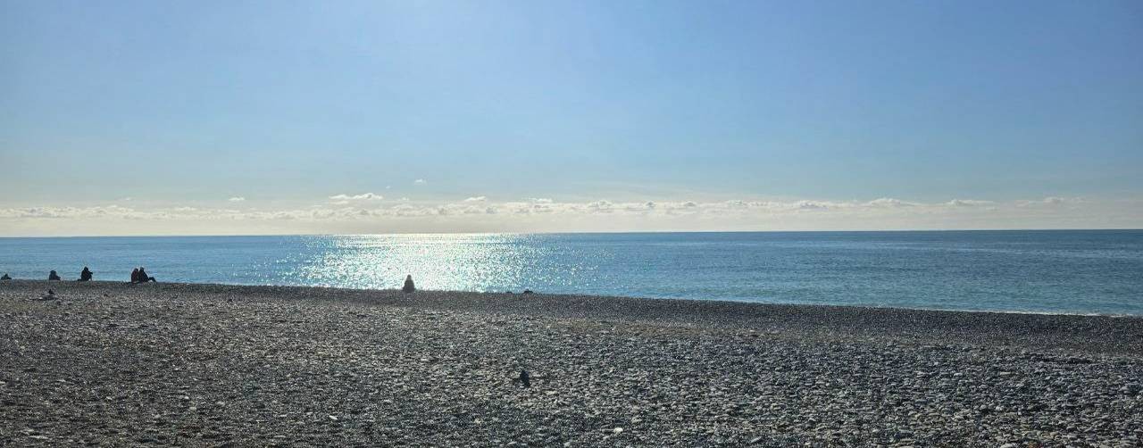 СВЕТЛАНА ВЯЖУ И ЖИВУ