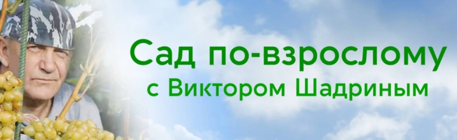 Сад по-взрослому с Виктором Шадриным