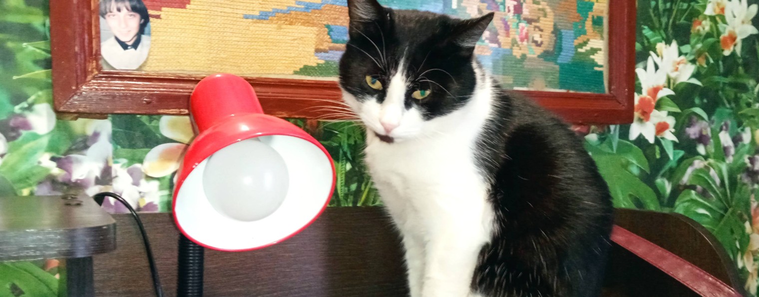 ПОДВОРЬЕ АНИН