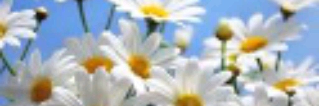 Елена Боярникова