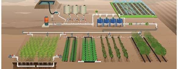 Агроклевер