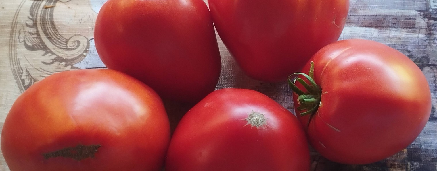 Любимый сад и огород