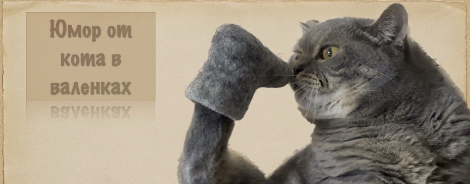 Кот в валенках