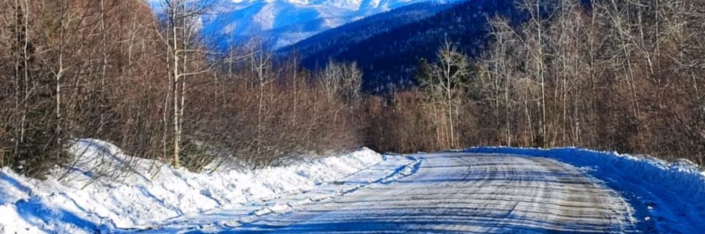 Скорей Поехали