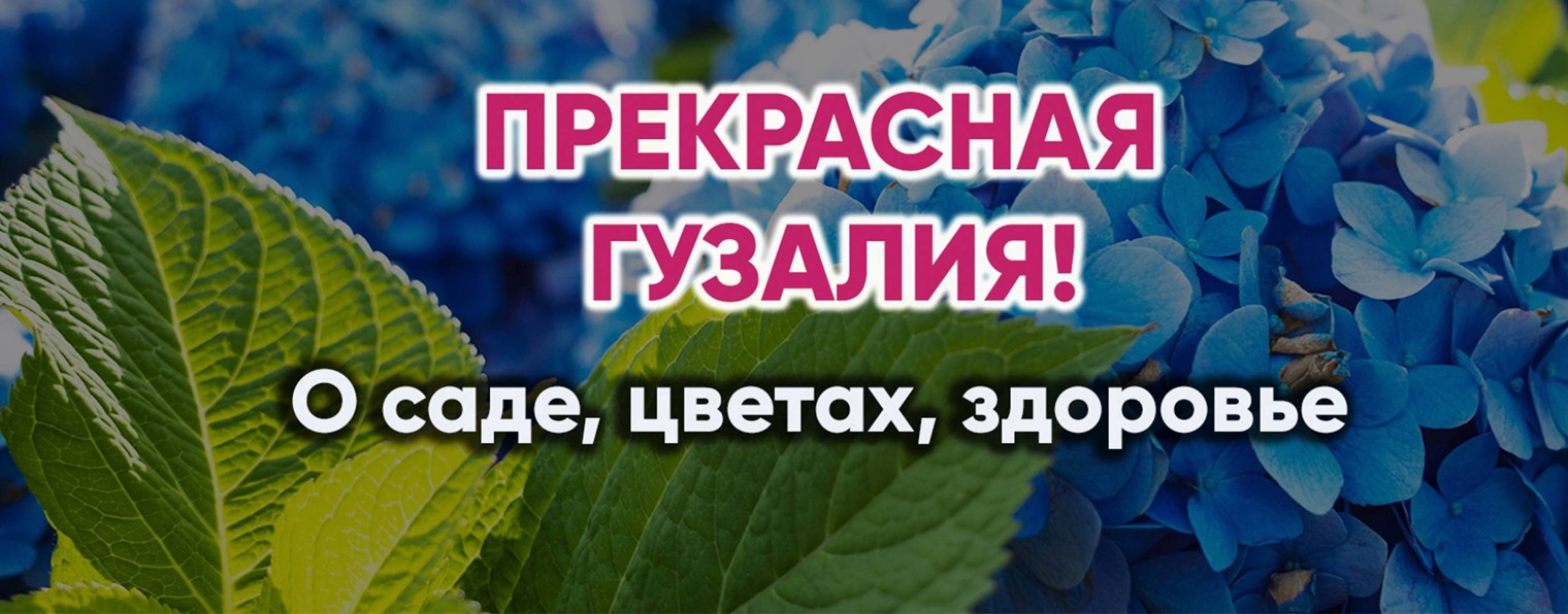 Прекрасная Гузалия! О Саде, цветах, здоровье