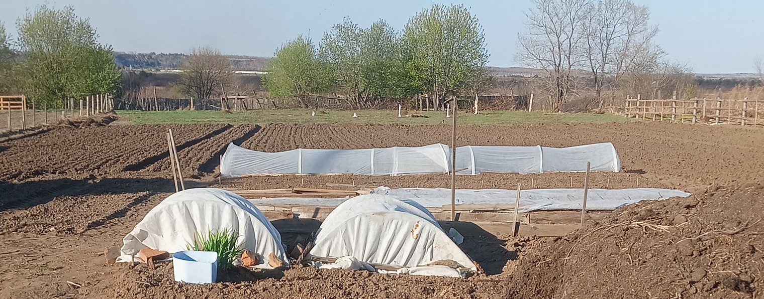 VadimDV, жизнь в деревне и в городе