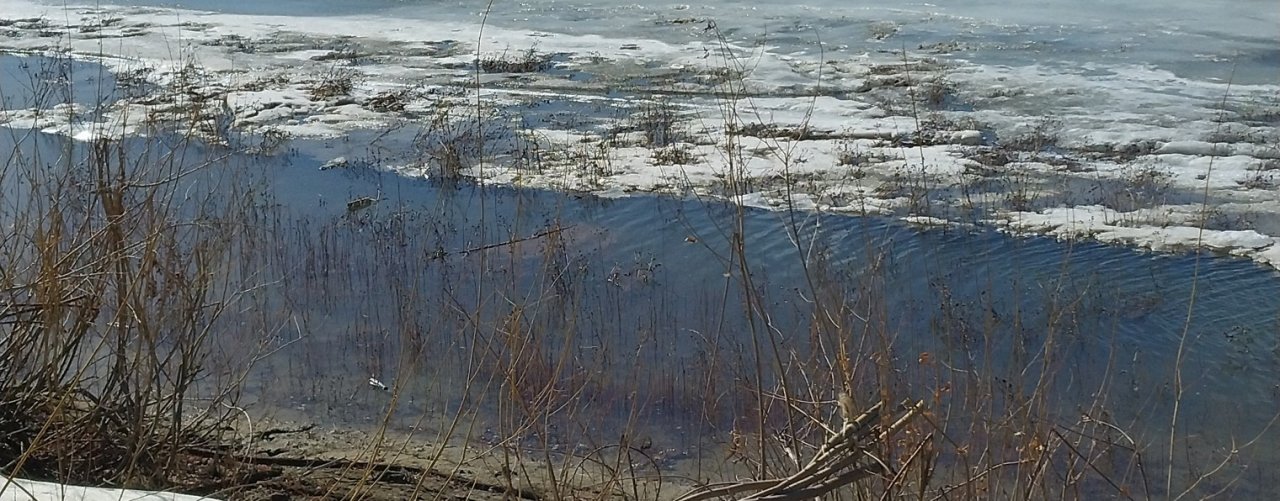 моя рыбалка