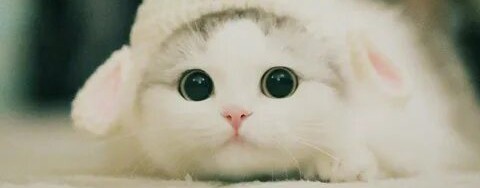 Бумажечка_life