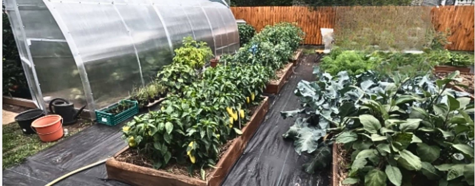 САД, ОГОРОД,СВОИМИ РУКАМИ