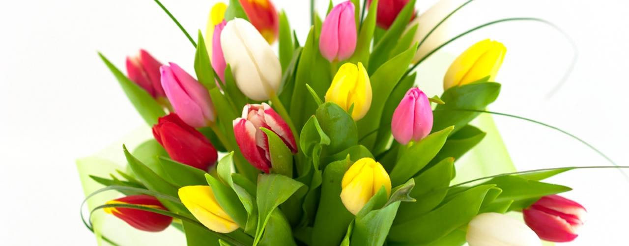 Ольга Сафинрейдер