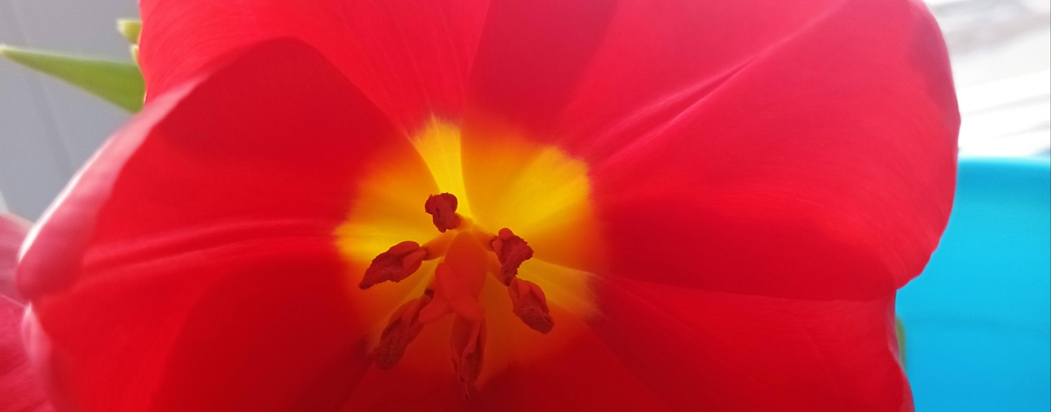 Наша с дочей жизнь!!! Маргарита