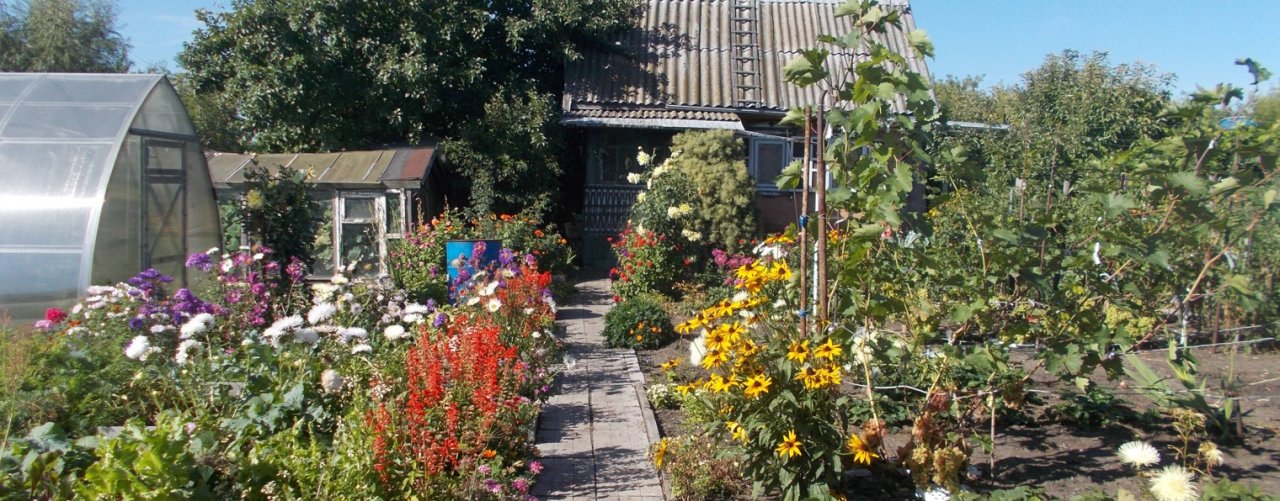 Станислав Бледнов