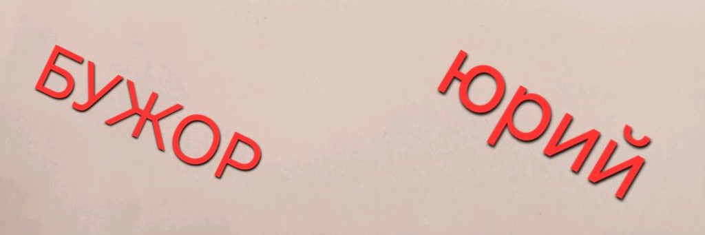 Iurie Bujor Official