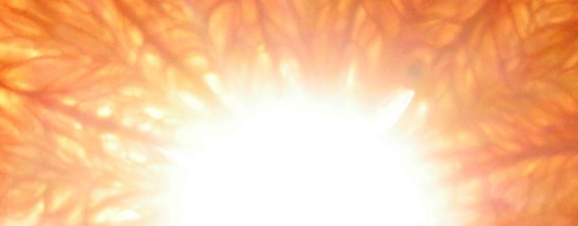 В сотворчестве с Миром.