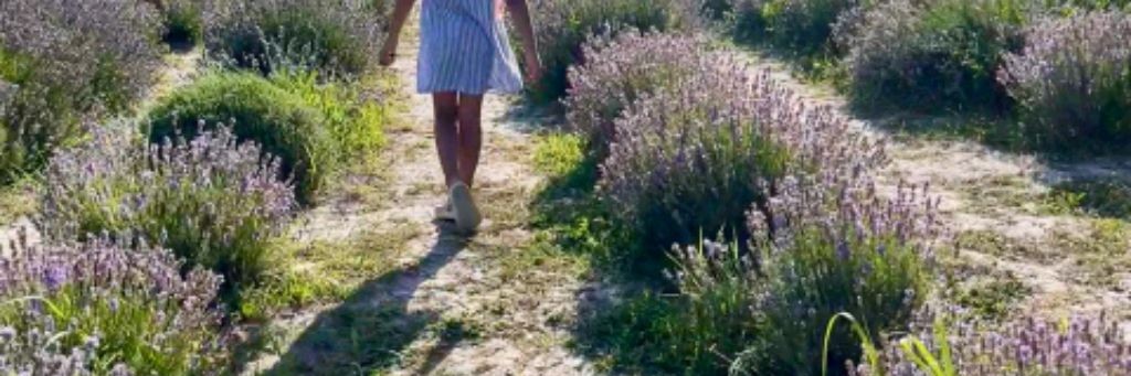 ГОТОВИМ ДОМА