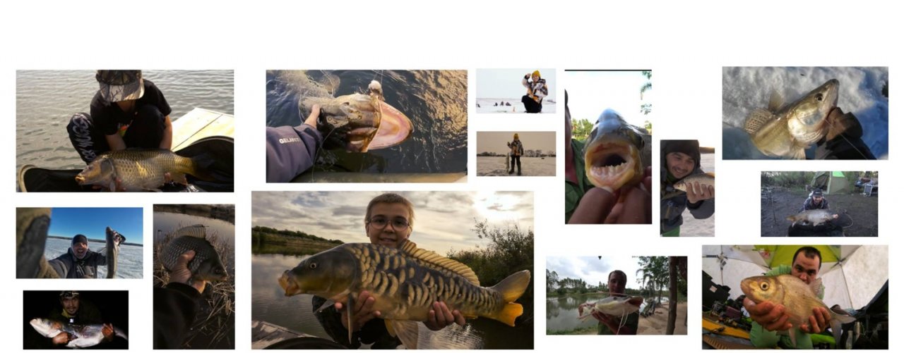 Дима рыбалка